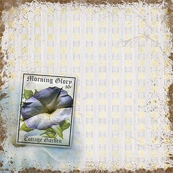 Vintage Romance Morning Glory Background designed by Jeanne Downing