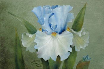 Adoregon Iris Packet by Jeanne Downing
