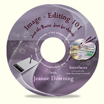 Image Editing 101 Interfaces DVD by Jeanne Downing