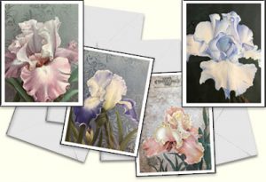 Iris Note Cards by Patsy Schultis
